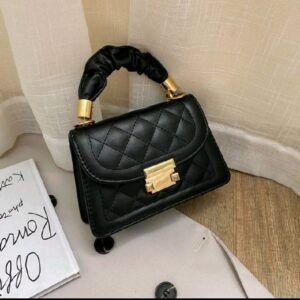 fancy  classy  bag for ladies