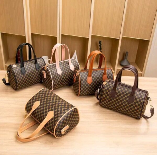 designed  travelling  bag