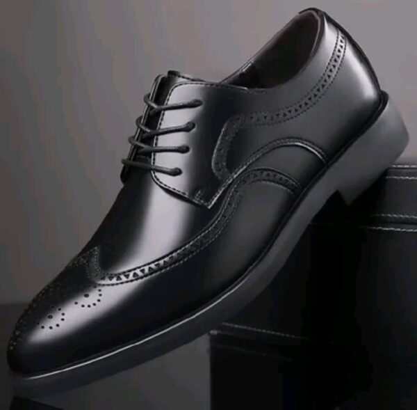 new men bussines  shoe ,pure leather