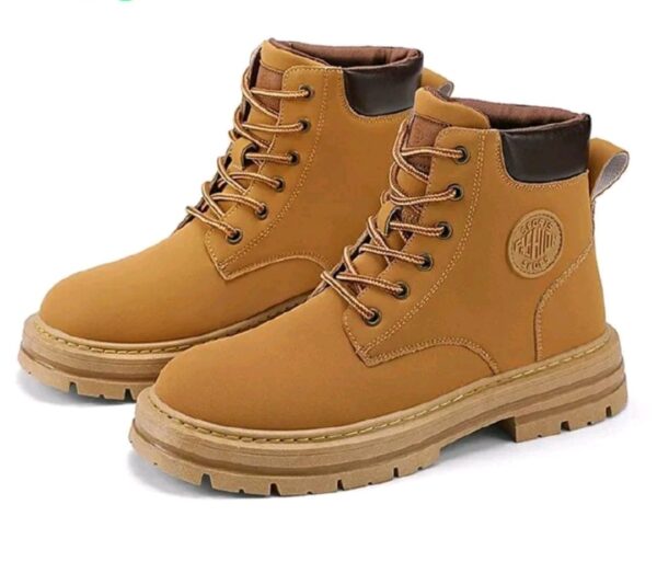 men's  shoes  ankle  boots